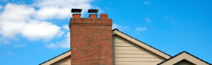 chimney liners champion chimneys