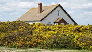 chimney negligence Champion Chimneys