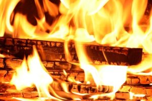 choosing the right firewood for your fireplace champion chimneys