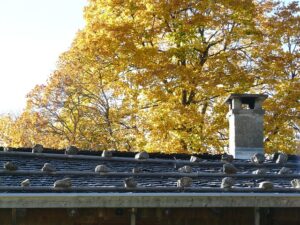 Essential Chimney Maintenance for Fall champion chimneys