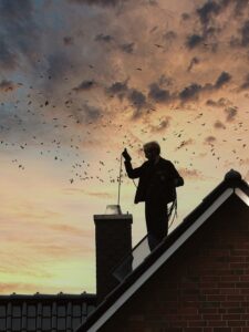 What to Expect During a Chimney Inspection champion chimneys