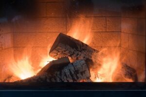 The Importance of Using Seasoned Firewood champion chimneys